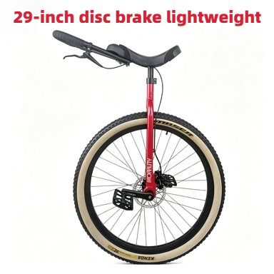 29Inch Morality Hydraulic Disc - Cycling Commute Distance review and price